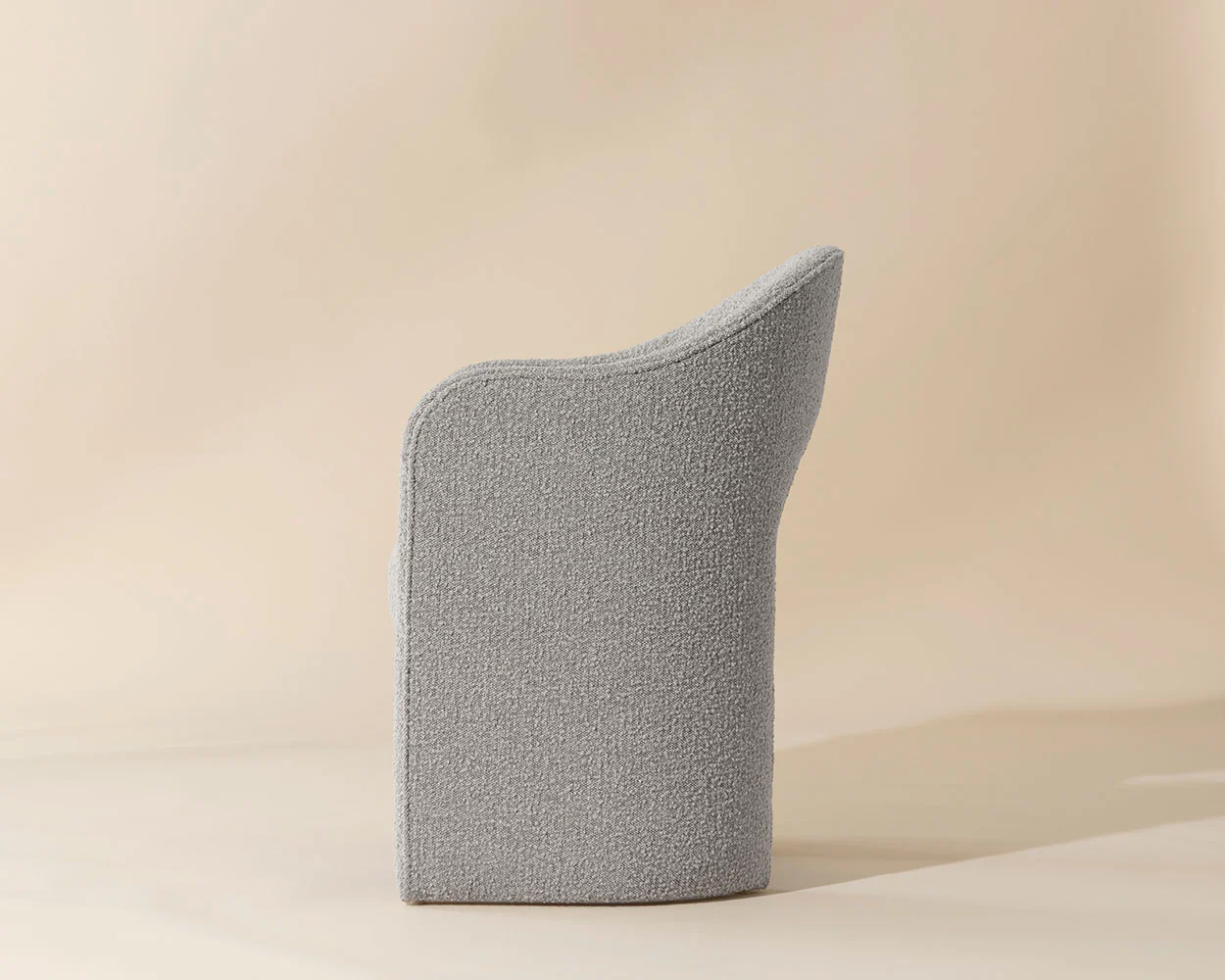Anaya Dining Armchair - Image 4