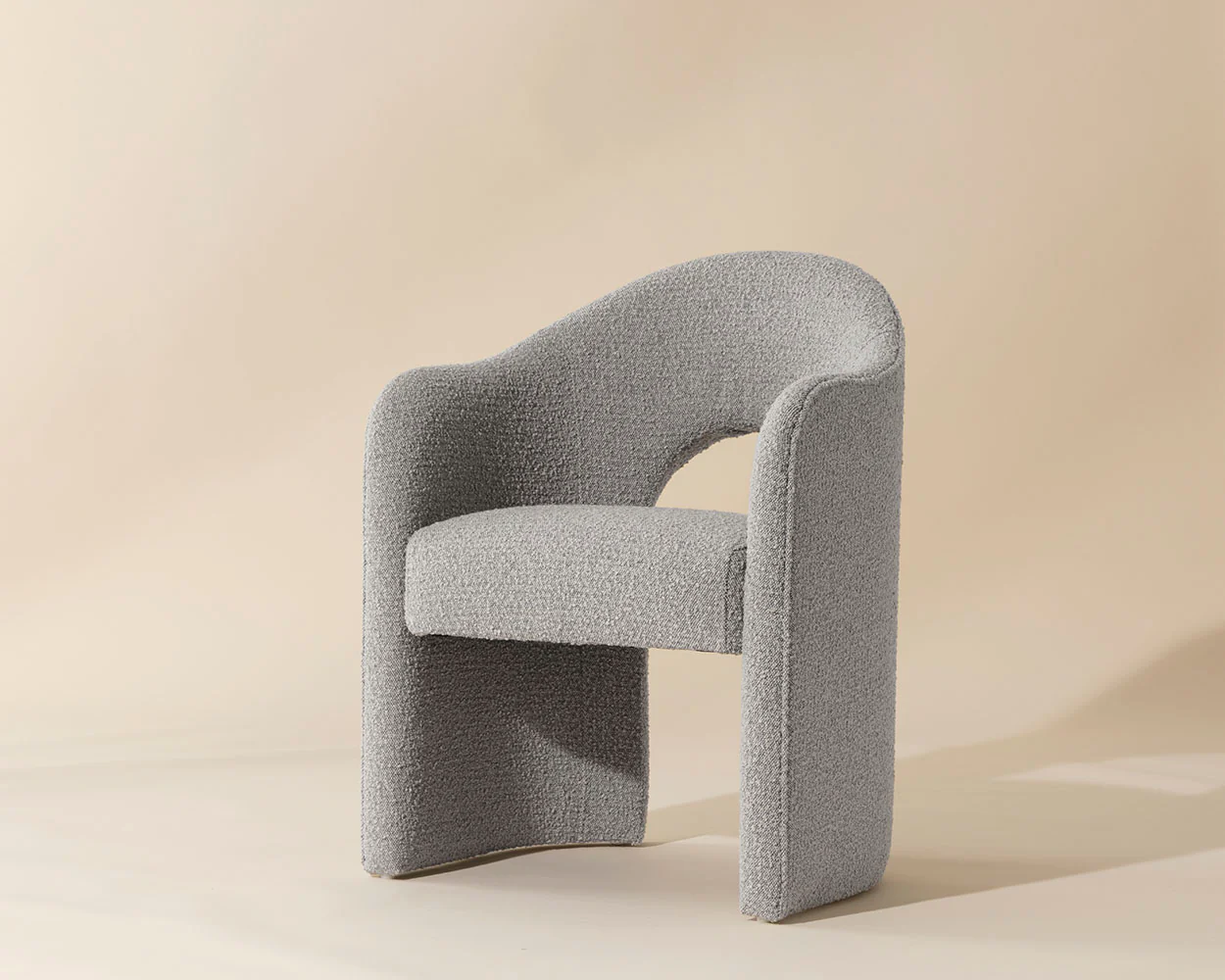 Anaya Dining Armchair - Image 8