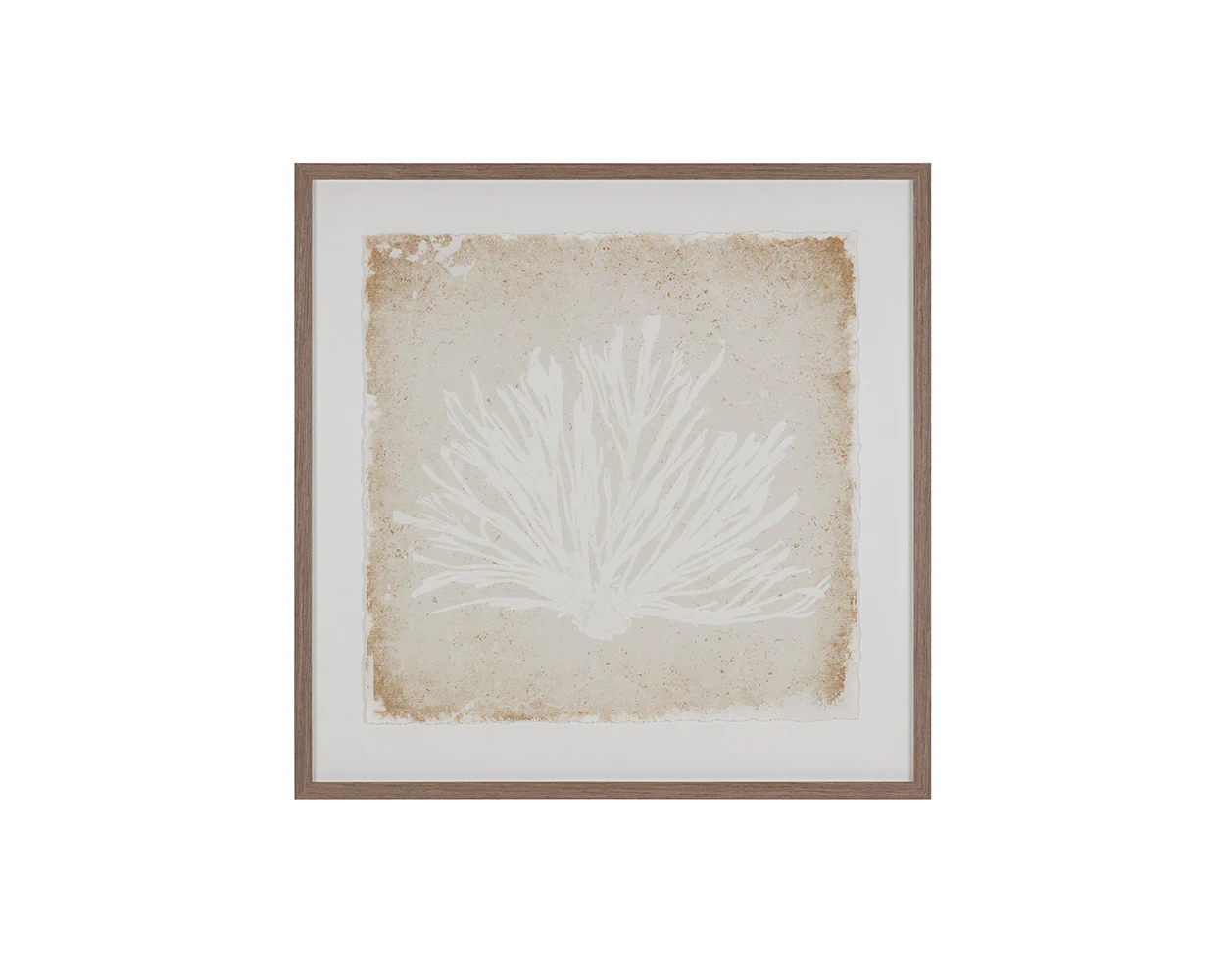 Aquatic Flora I - 40' X 40' - Medium Brown Frame - Image 4