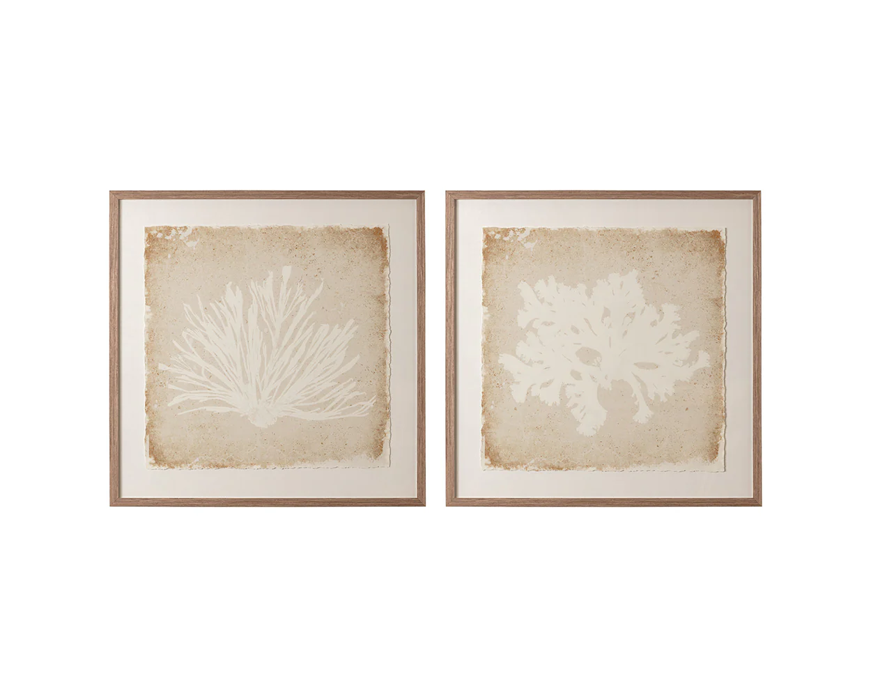Aquatic Flora I - 40' X 40' - Medium Brown Frame - Image 5