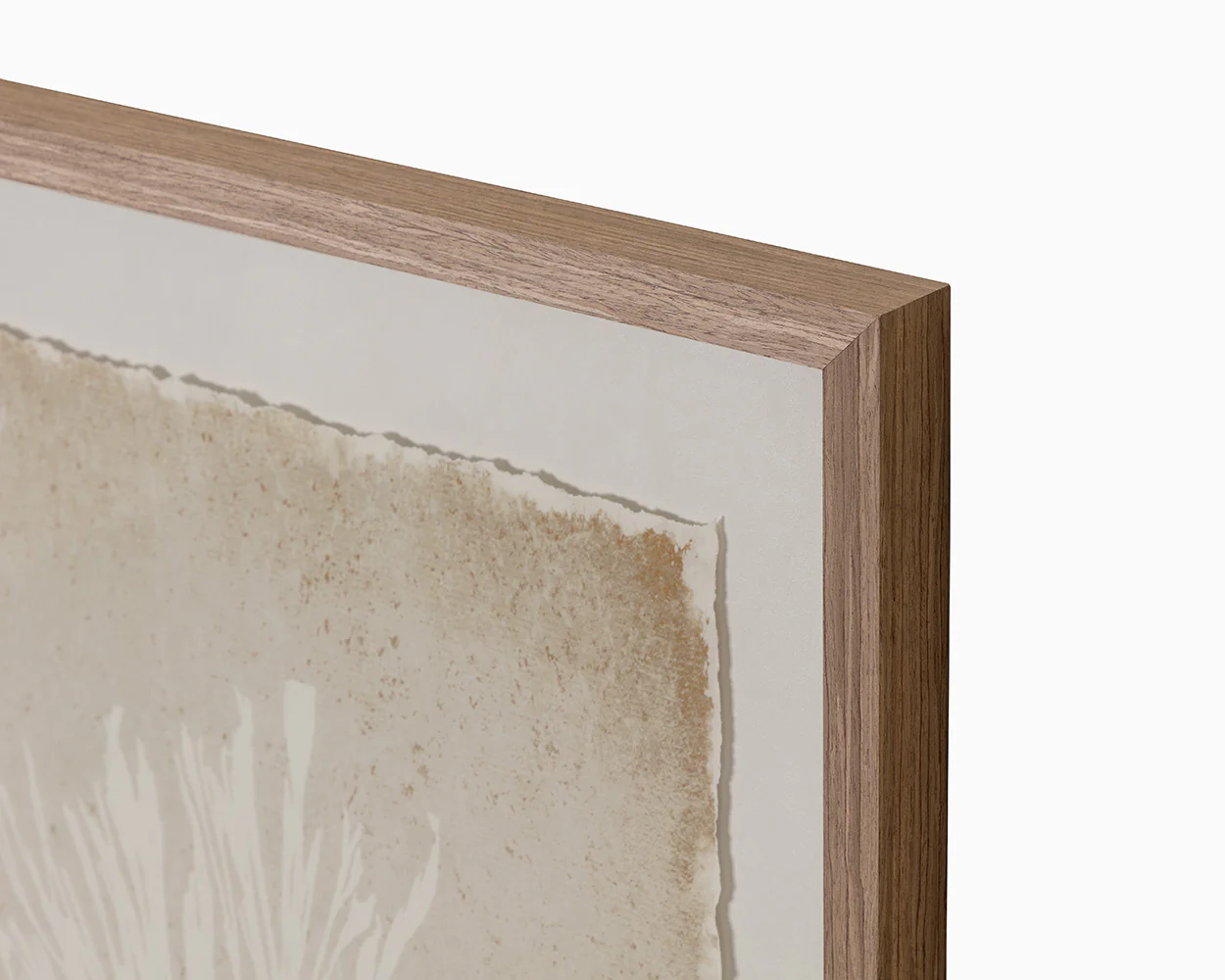 Aquatic Flora I - 40' X 40' - Medium Brown Frame - Image 6