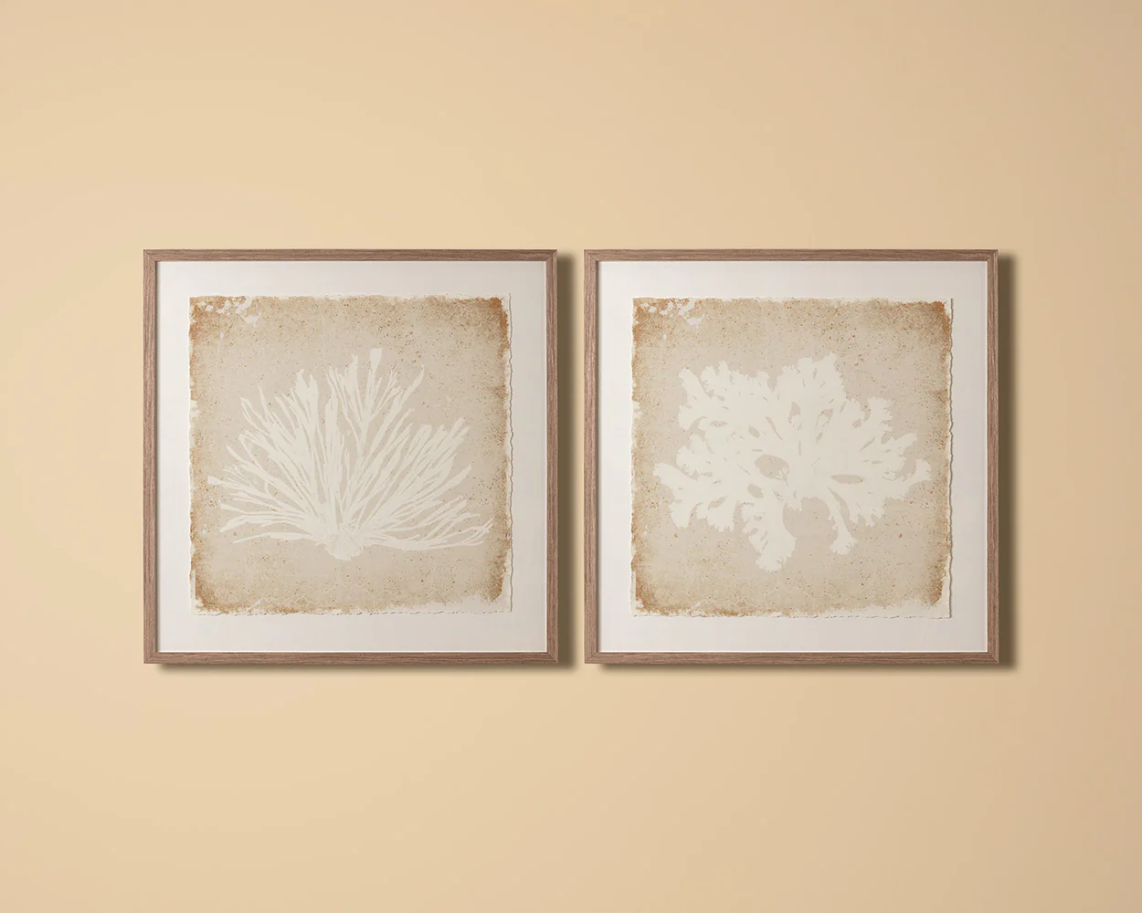 Aquatic Flora II - 40' X 40' - Medium Brown Frame - Image 2