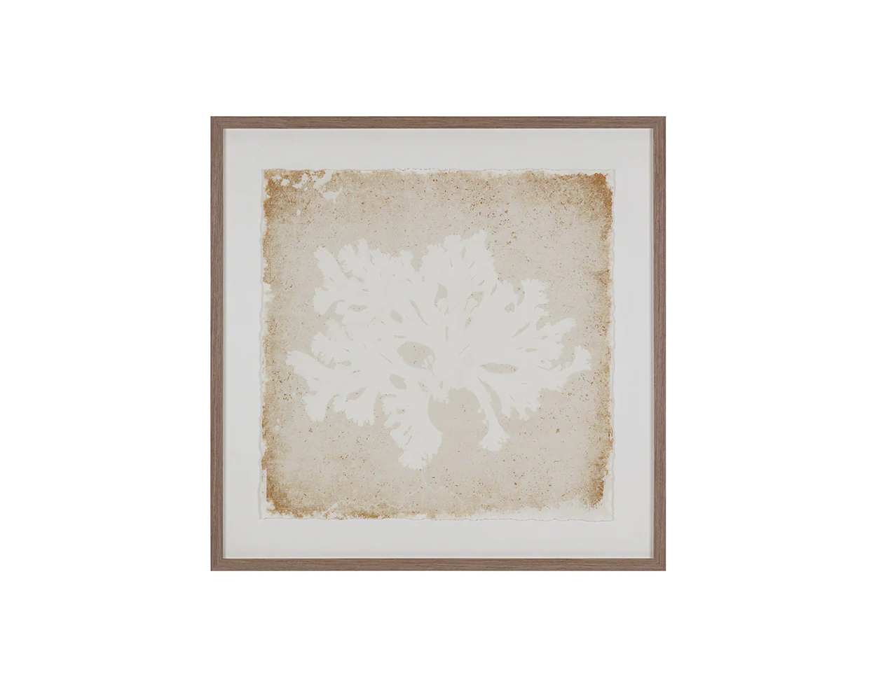 Aquatic Flora II - 40' X 40' - Medium Brown Frame - Image 4