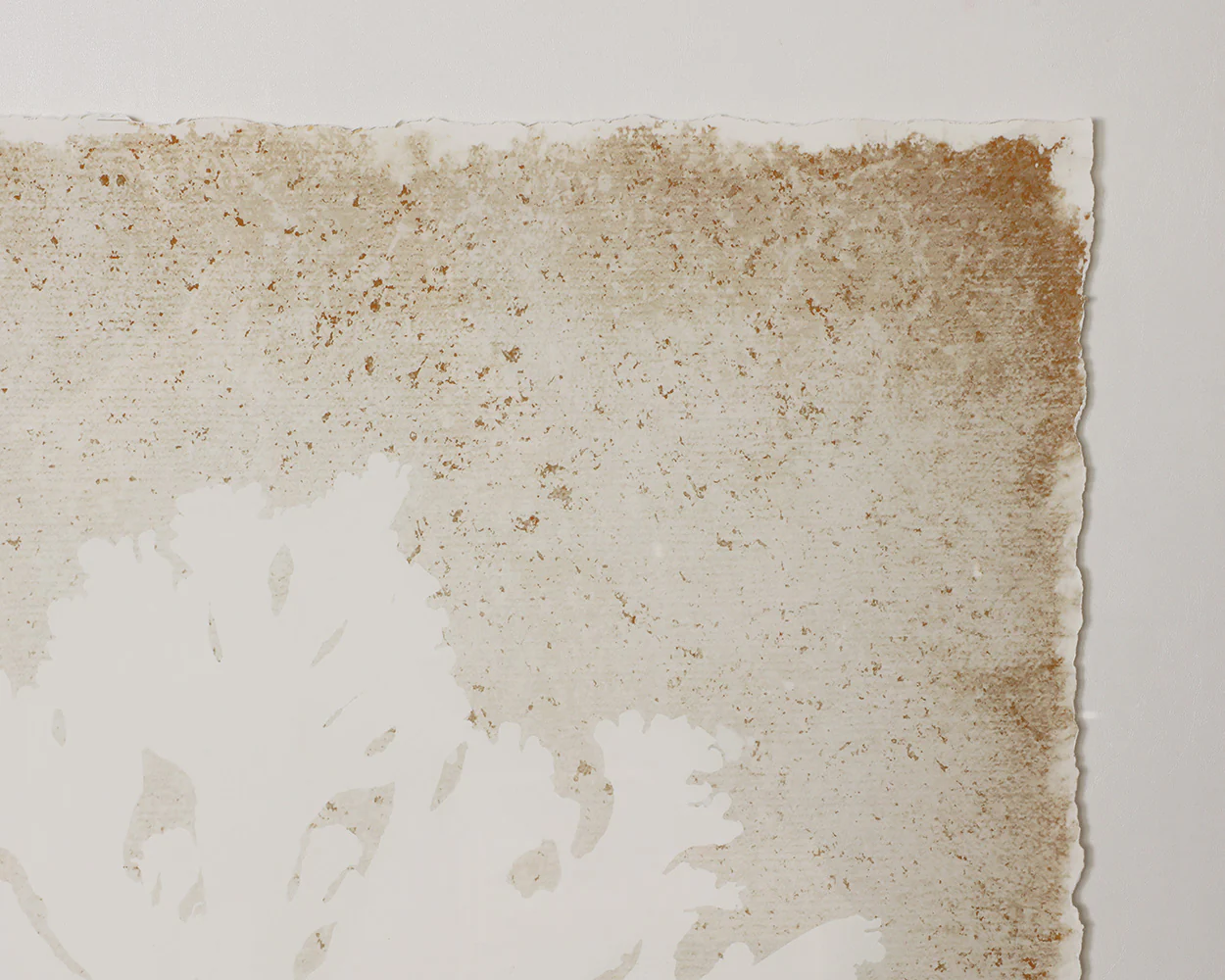 Aquatic Flora II - 40' X 40' - Medium Brown Frame - Image 7