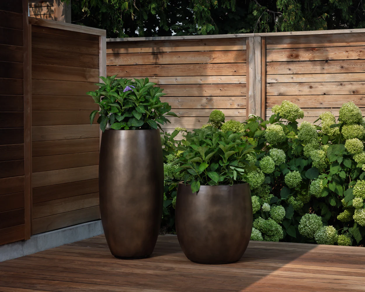 Aster Planter - Tall - Image 2