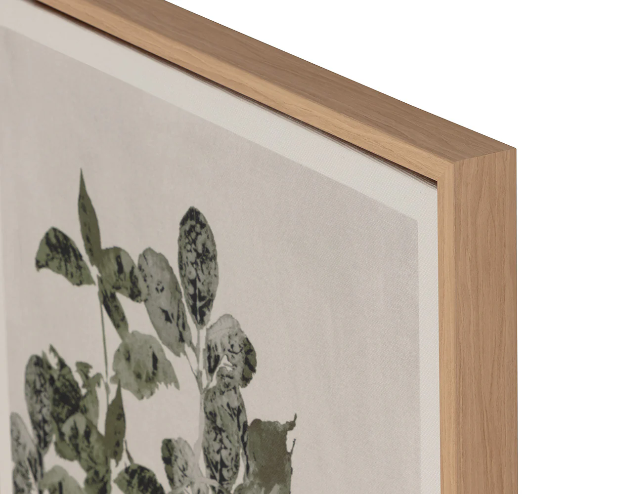 Botanical Study I - 20' X 32.5' - Natural Floater Frame - Image 10