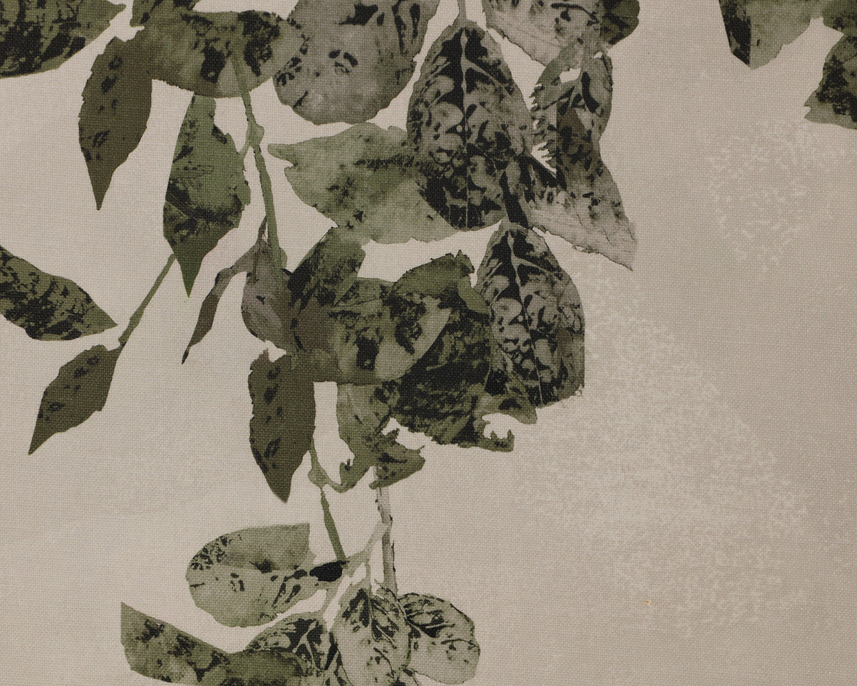 Botanical Study II - 20' X 32.5' - Natural Floater Frame - Image 11