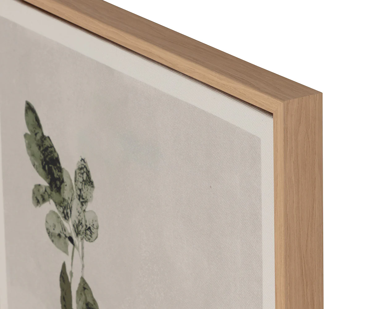 Botanical Study III - 20' X 32.5' - Natural Floater Frame - Image 10