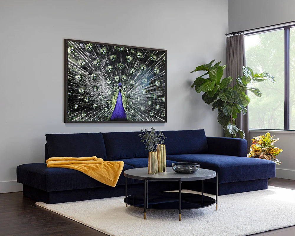 Brilliant Plumage - 72" X 48" - Charcoal Frame - Image 2