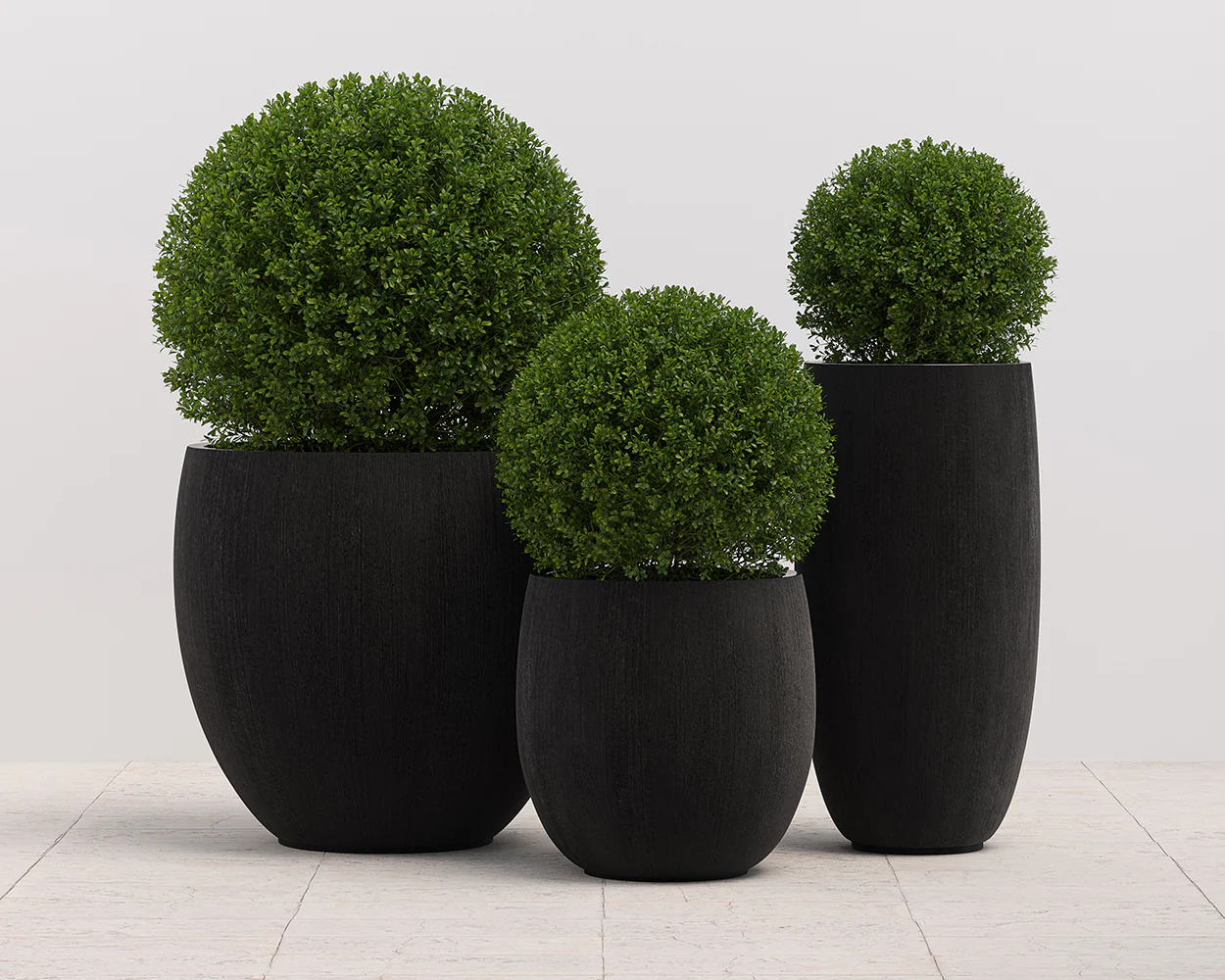 Coleus Planter - Small - Round - Image 8
