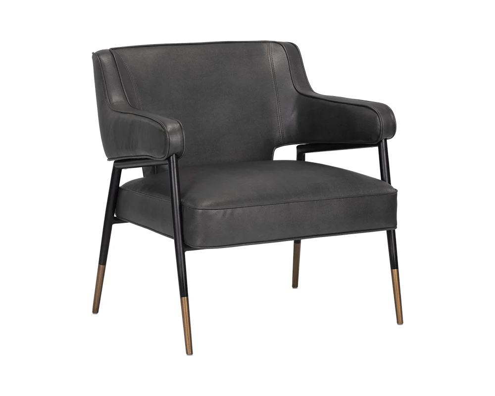Derome Lounge Chair - Image 10