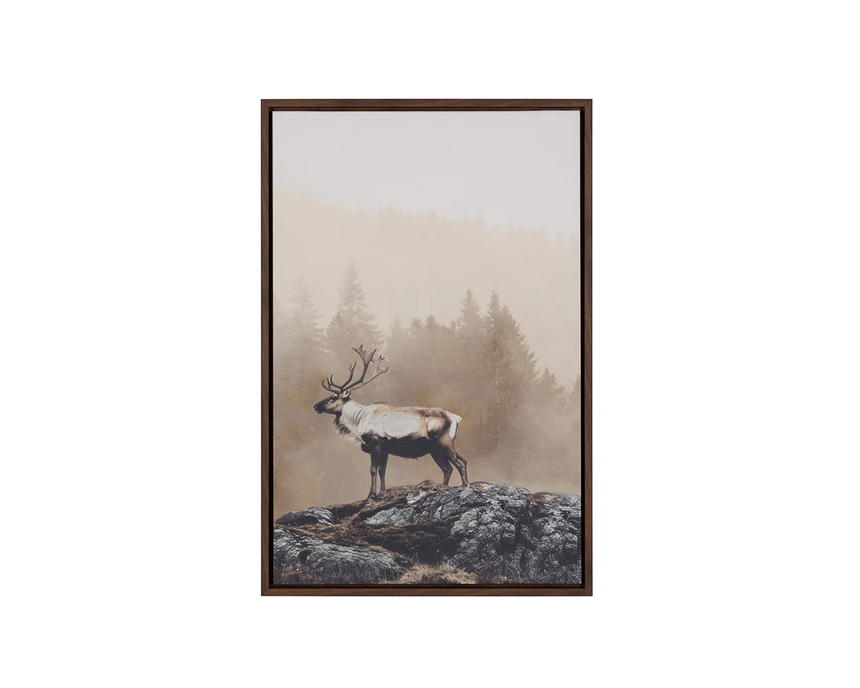 Into The Wild I - 20' X 30' - Brown Floater Frame - Image 5