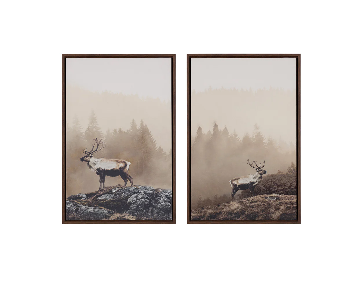 Into The Wild I - 20' X 30' - Brown Floater Frame - Image 6