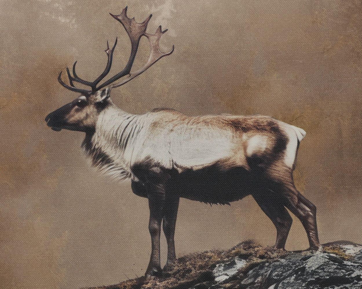 Into The Wild I - 20' X 30' - Brown Floater Frame - Image 9