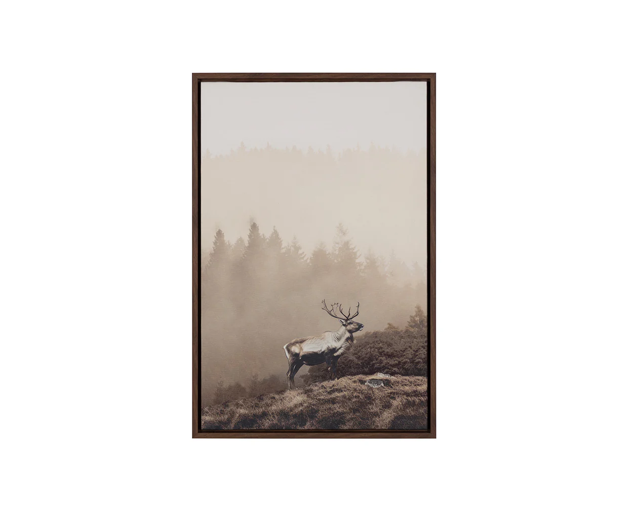 Into The Wild II - 20' X 30' - Brown Floater Frame - Image 5