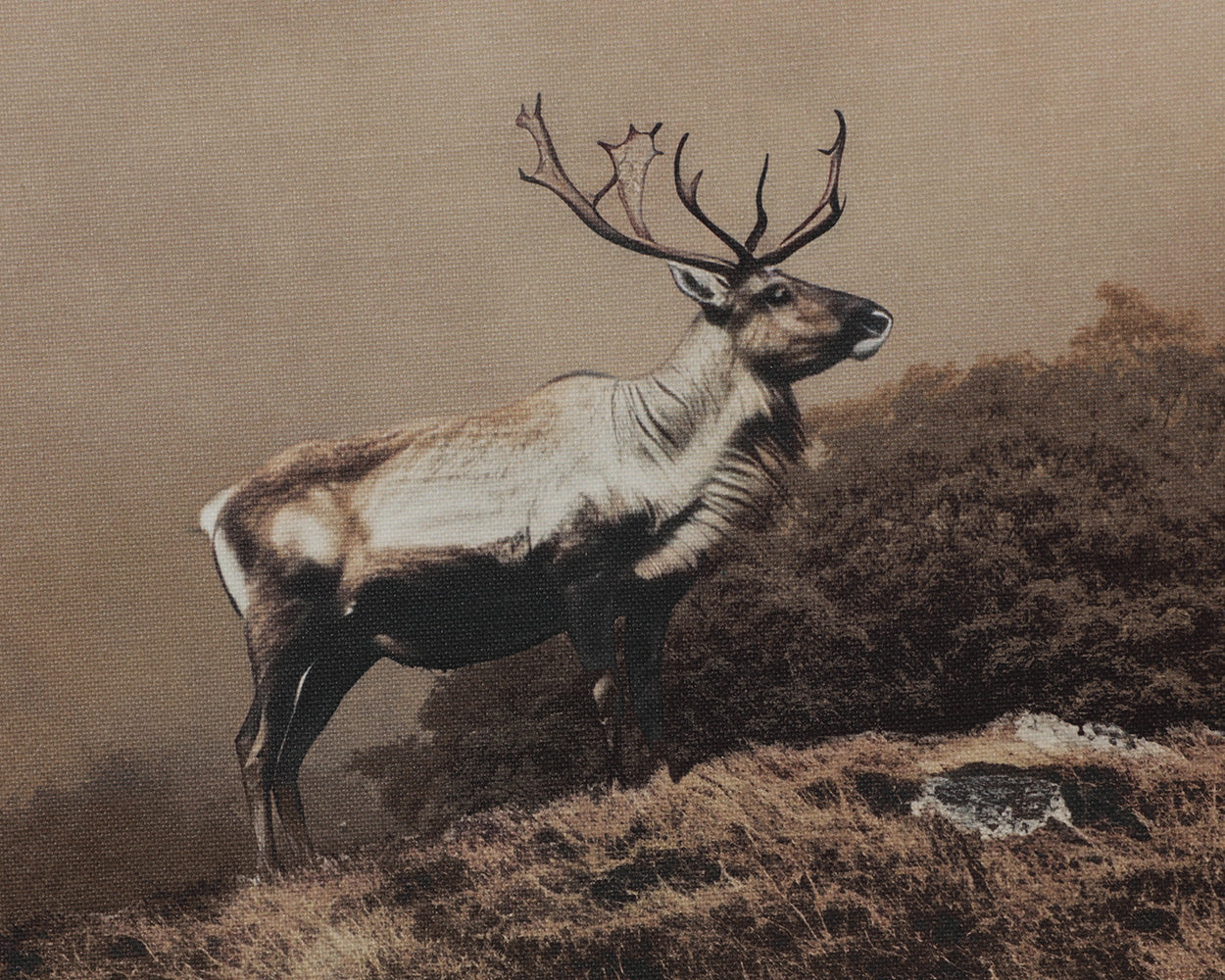Into The Wild II - 20' X 30' - Brown Floater Frame - Image 9