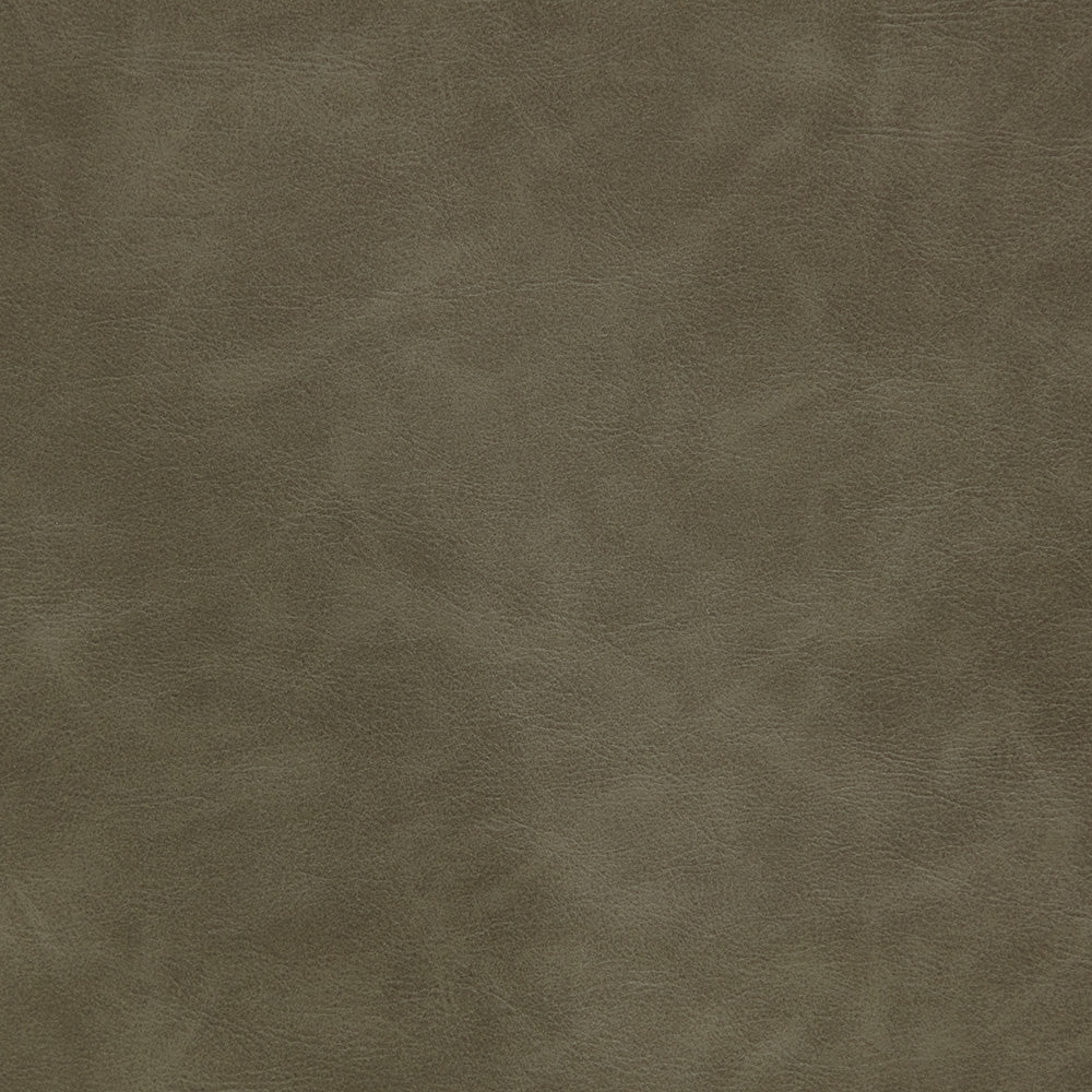 Ivanhoe Pine Swatch - Image 2