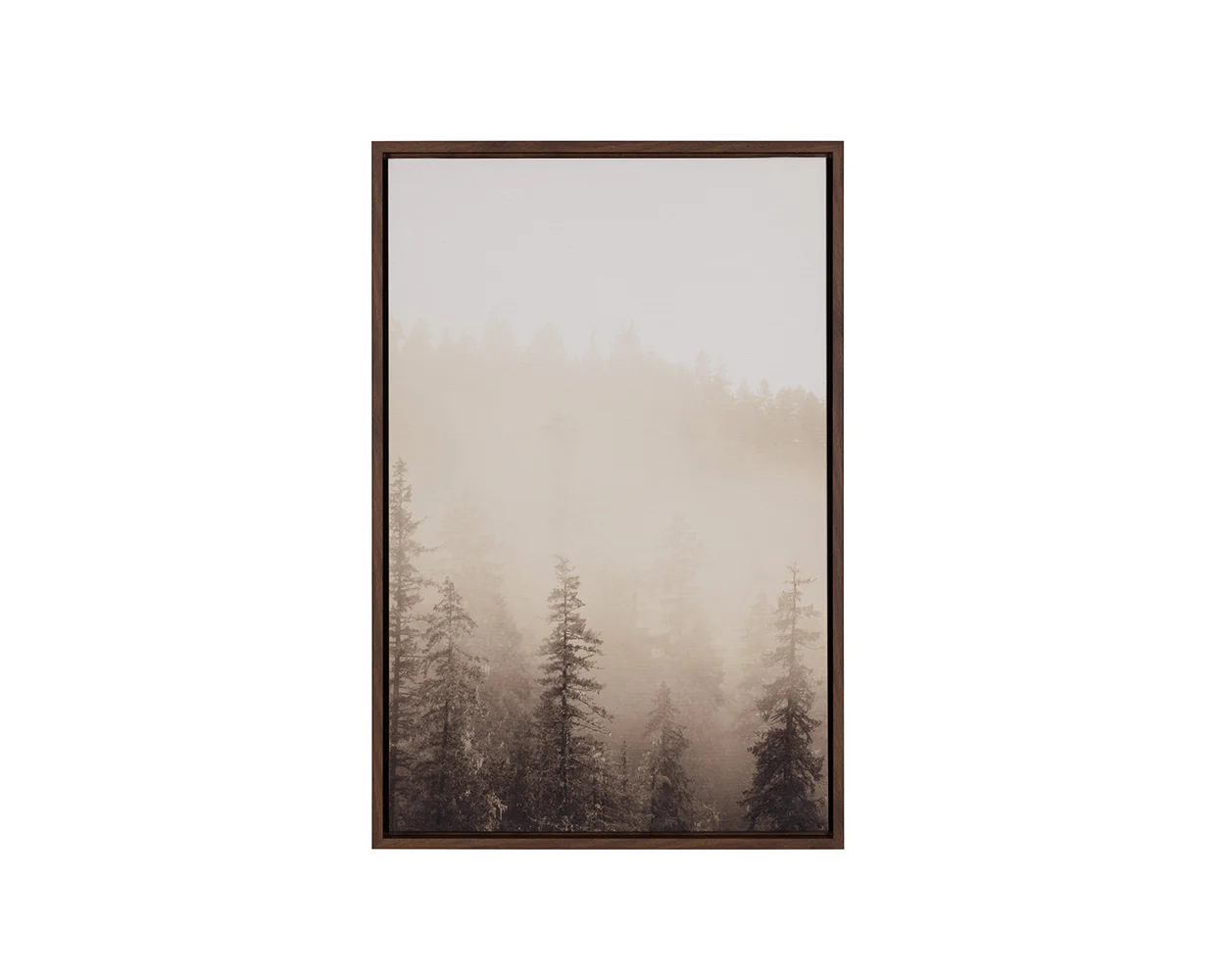 Mistwood I - 20' X 30' - Brown Floater Frame - Image 4