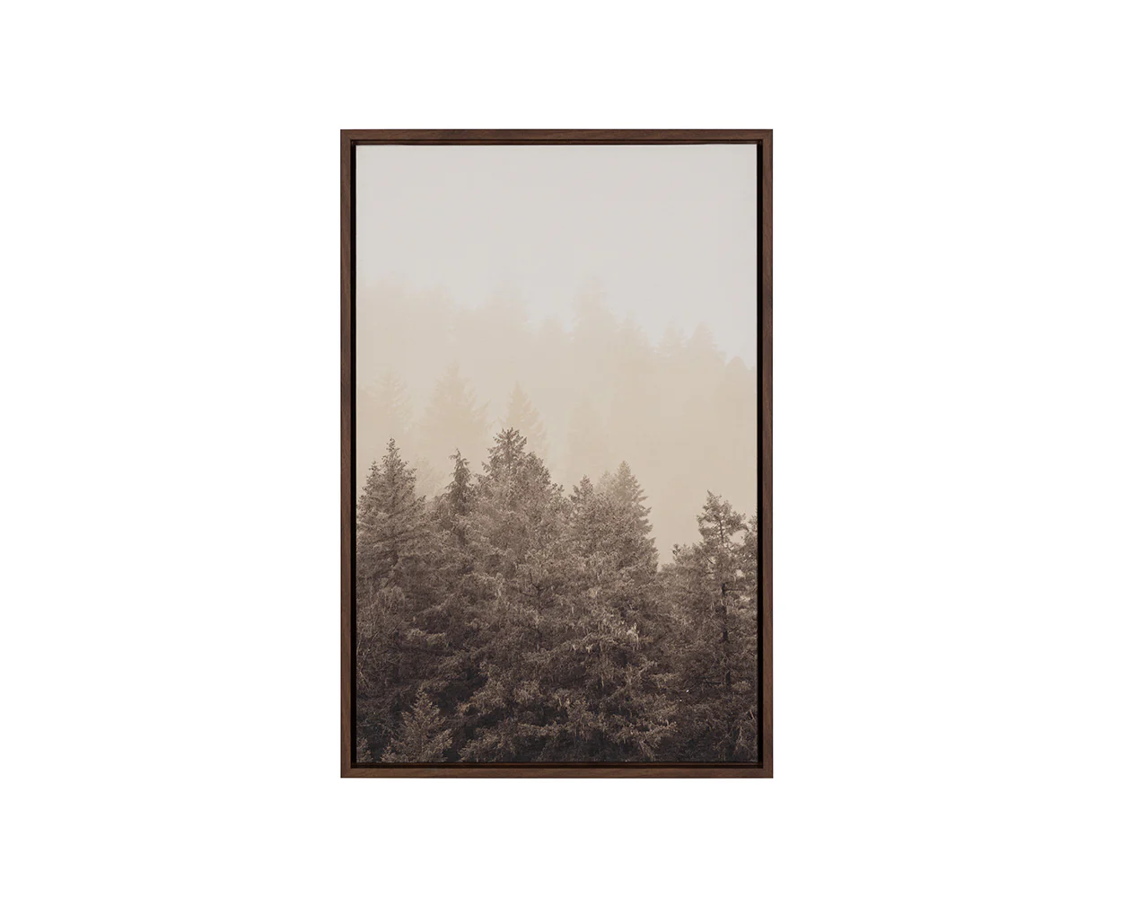 Mistwood II - 20' X 30' - Brown Floater Frame - Image 5