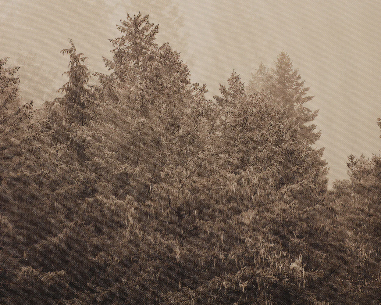 Mistwood II - 20' X 30' - Brown Floater Frame - Image 9