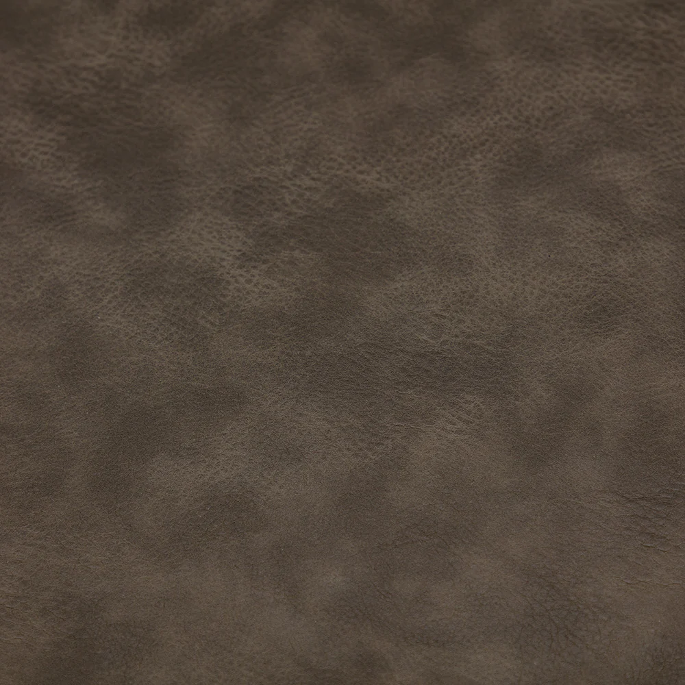 Porpoise - Image 2