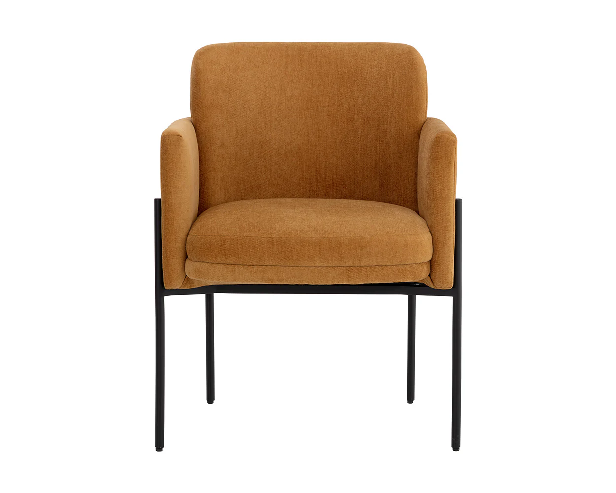 Richie Dining Armchair - Black - Image 3