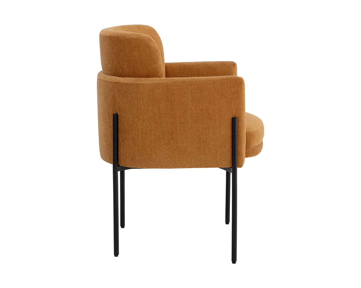 Richie Dining Armchair - Black - Image 4