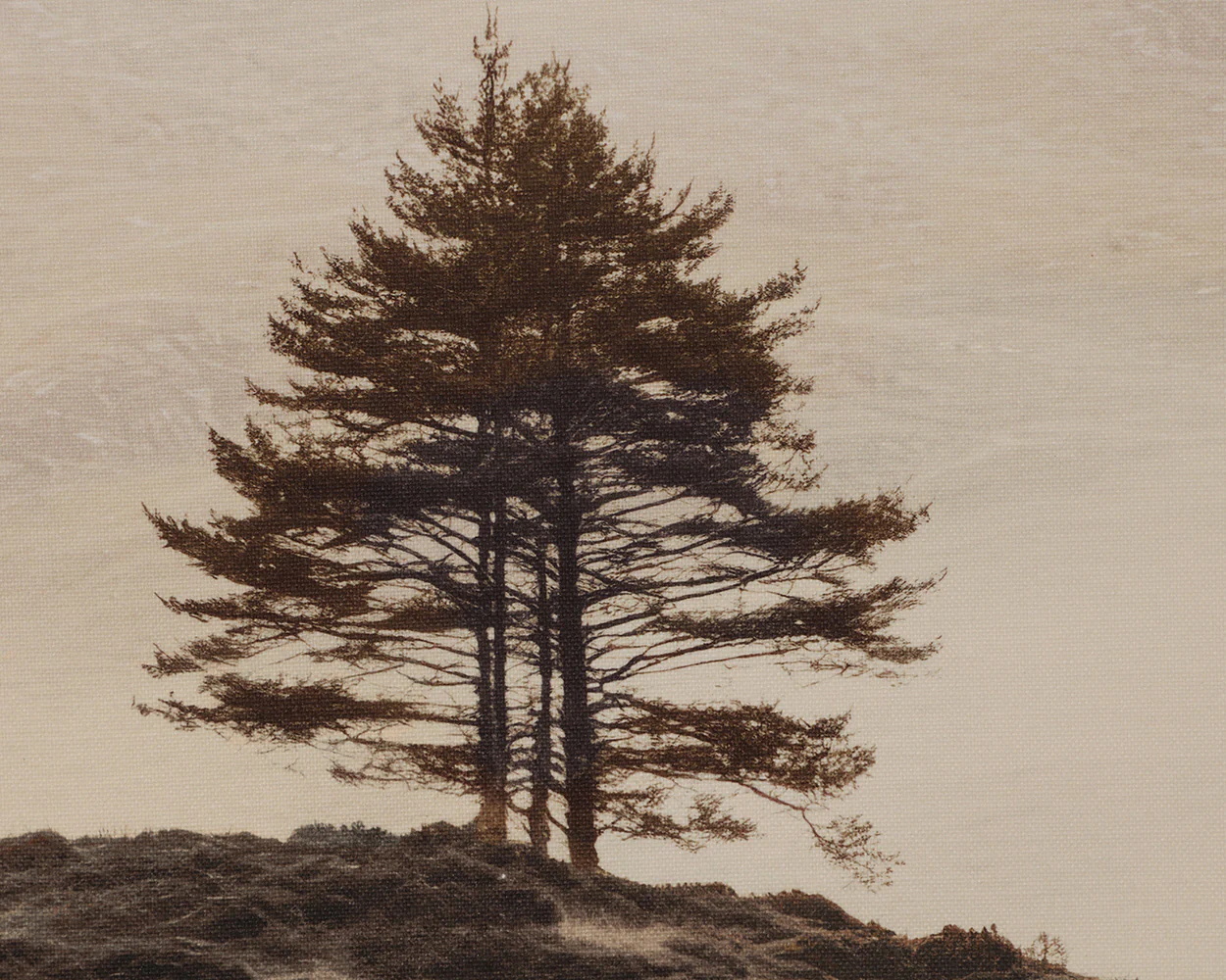 Together Alone II - 20' X 30' - Brown Floater Frame - Image 9